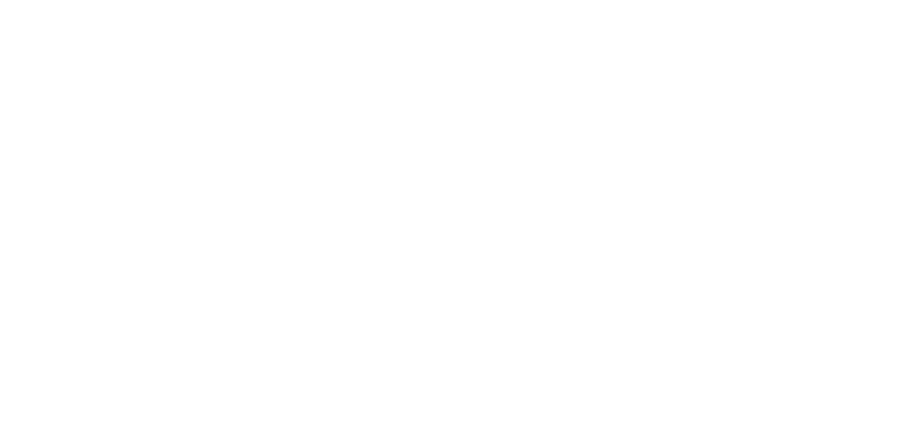 BridChi
